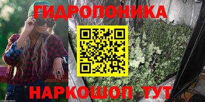 эйфоретик Краснодар