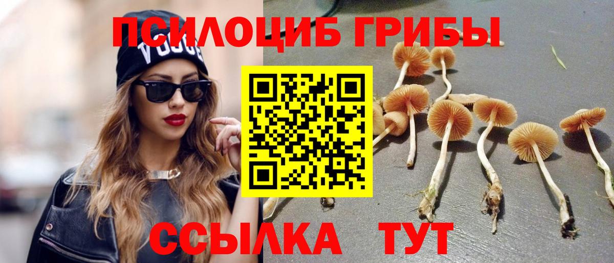 Галлюциногенные грибы мицелий Усть-Илимск