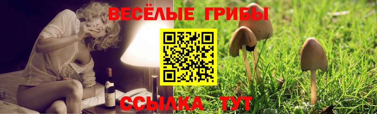 Псилоцибиновые грибы Psilocybe  Вход с VPN  купить наркотик  Усть-Илимск 